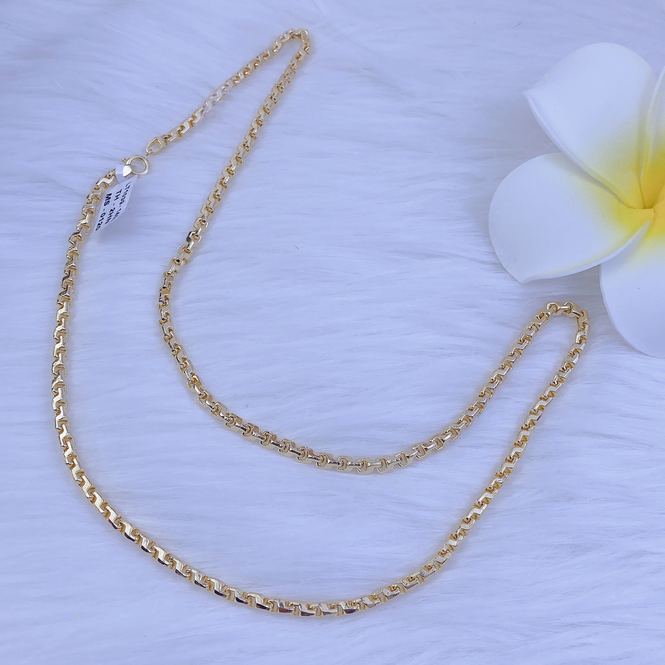 Dây công vuông 5 chỉ khoá tròn 2 Dây Công Vuông 5 Chi Khoá Tròn (6)