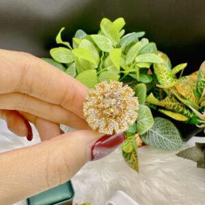 NhẪn NỮ HoÀng HỘt TrÀ To (3)