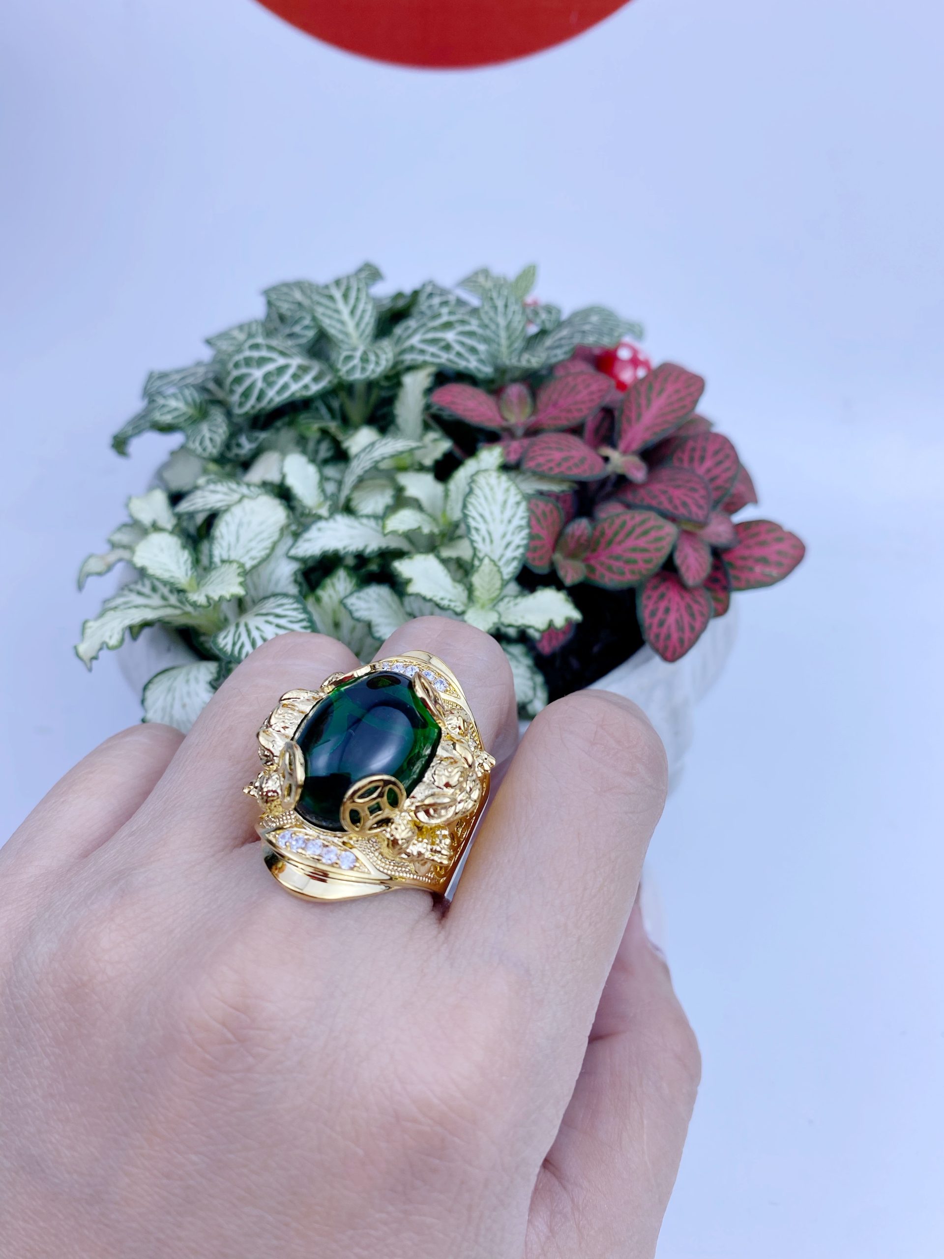 Nhẫn có ngậm tiền 4 Nhẫn Có Ngậm Tiền (2)