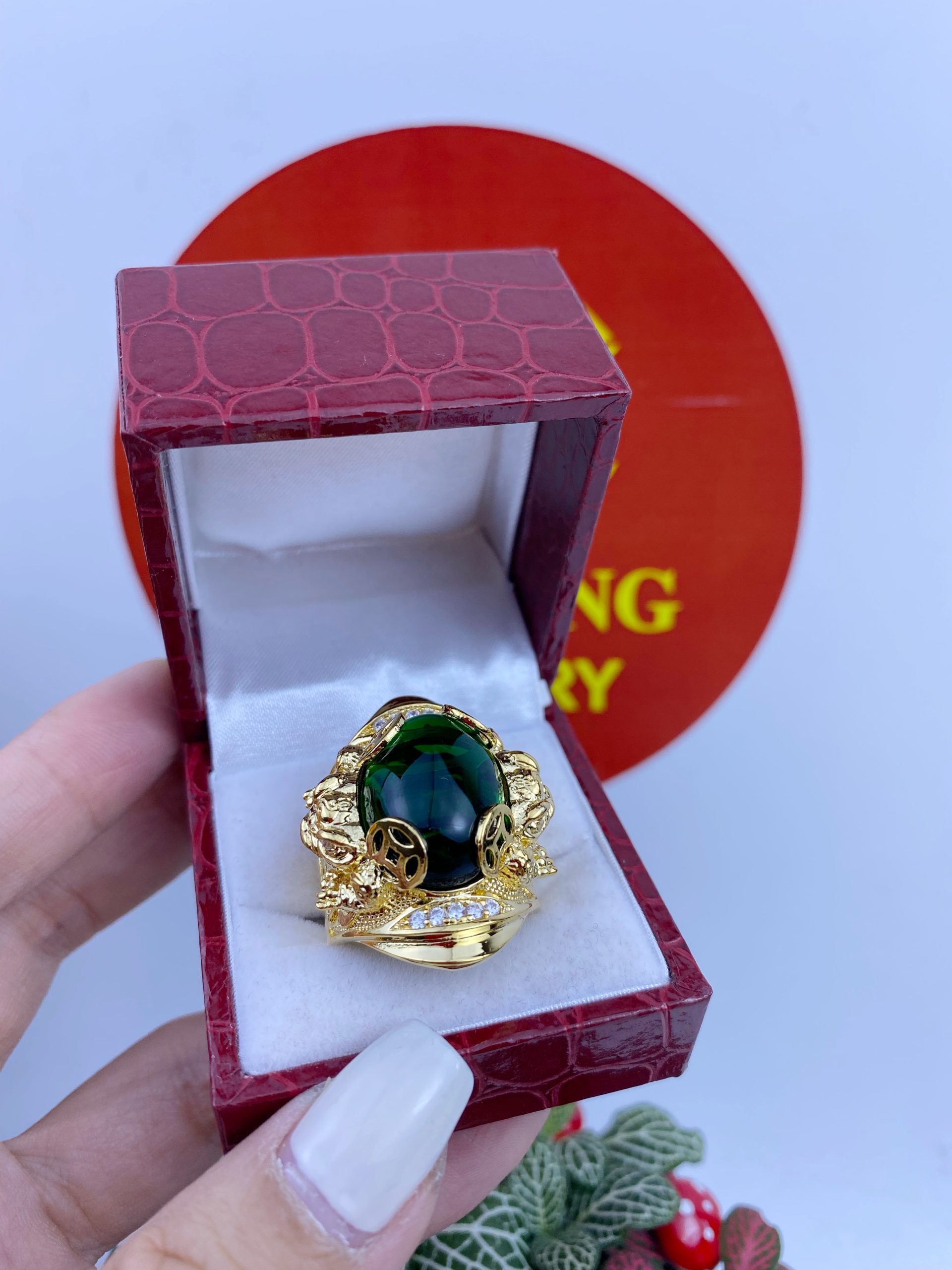 Nhẫn có ngậm tiền 2 Nhẫn Có Ngậm Tiền (4)