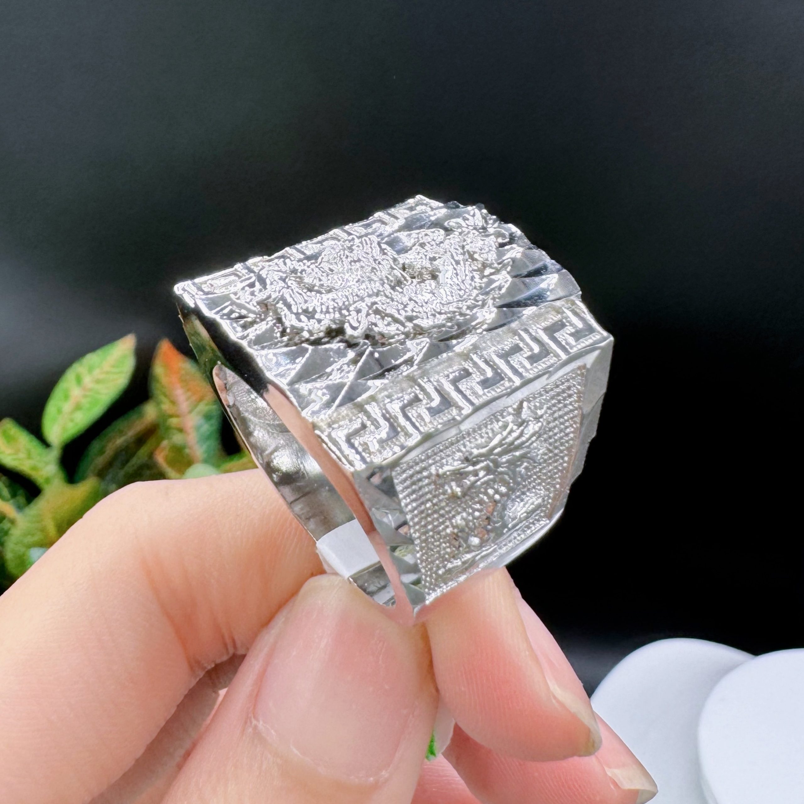 Nhẫn long vương 1 Nhẫn Long Vương (2)